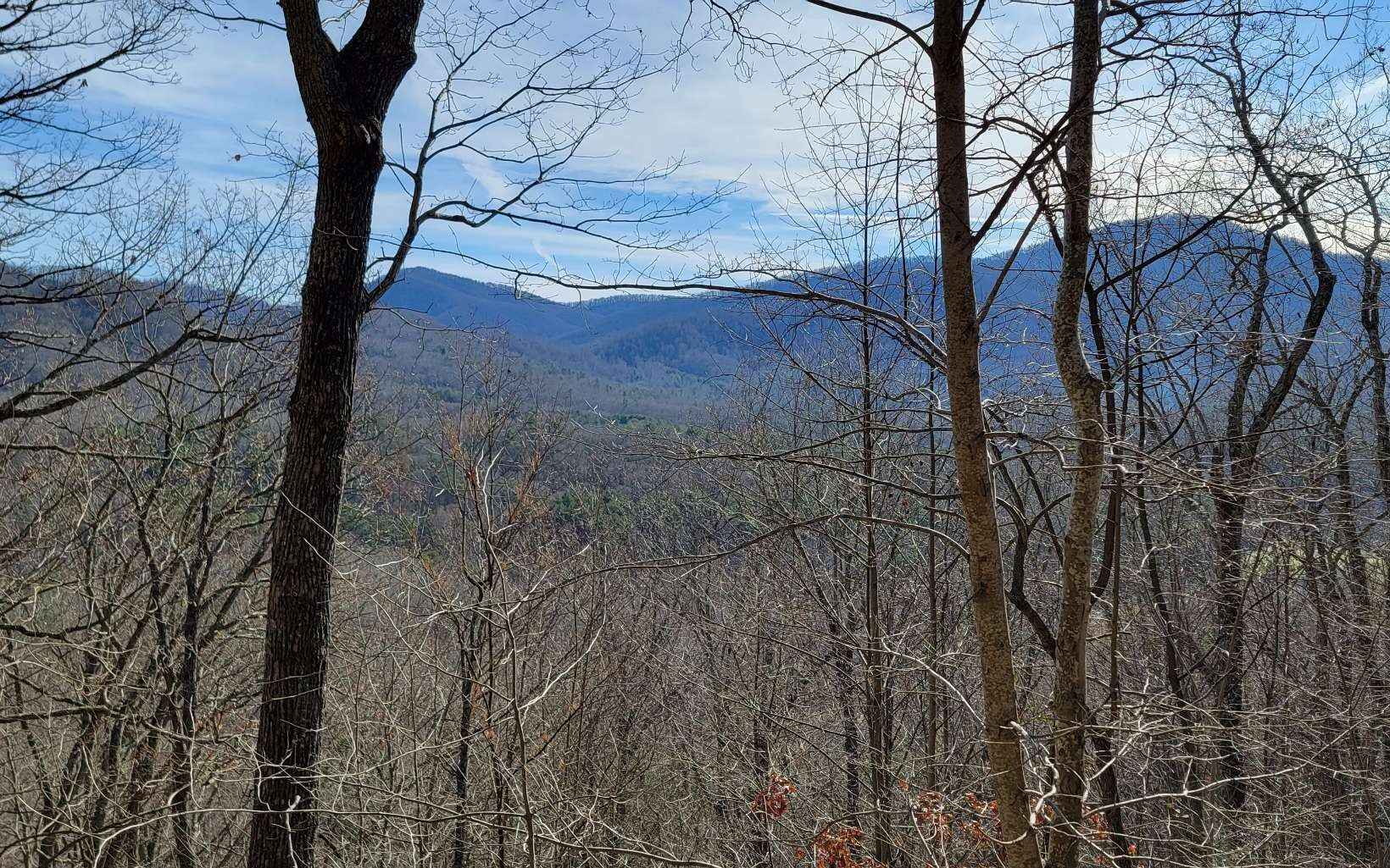 Lot 33 Chimney Top Trl  