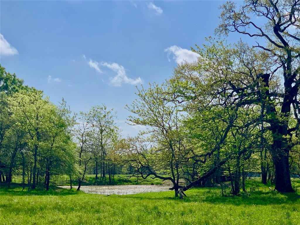 Tbd W Farm Road 3389 Hwy  