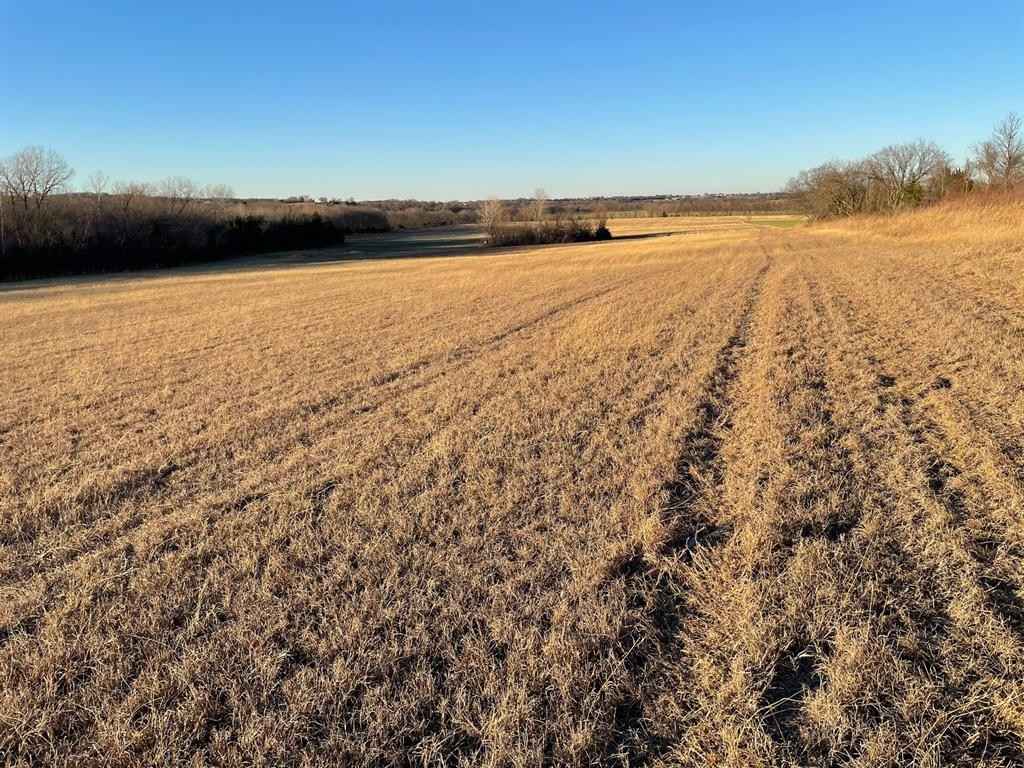 61 96ac Mary Fitch Rd  