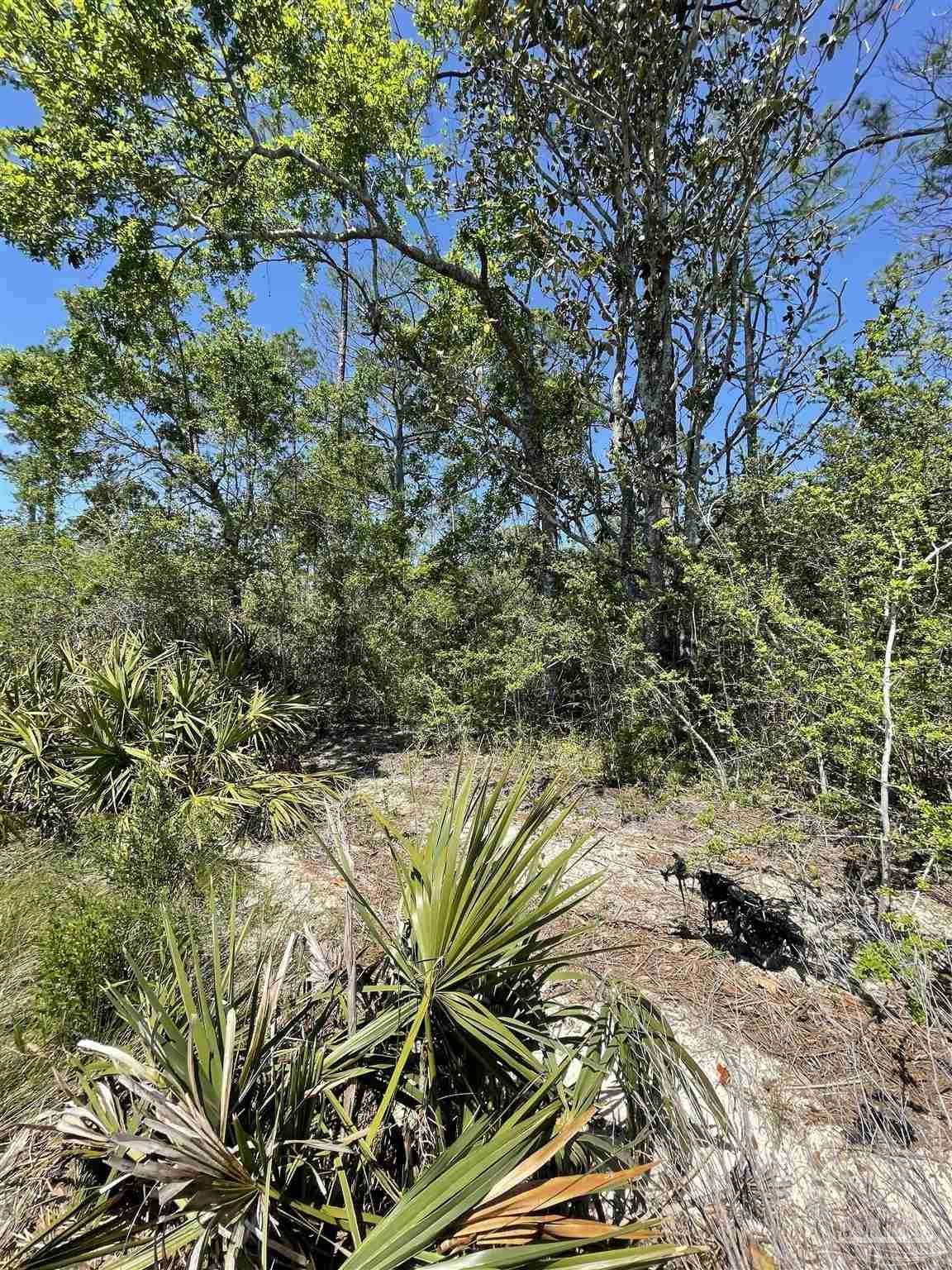 Lot 7003 Durwood Ln  