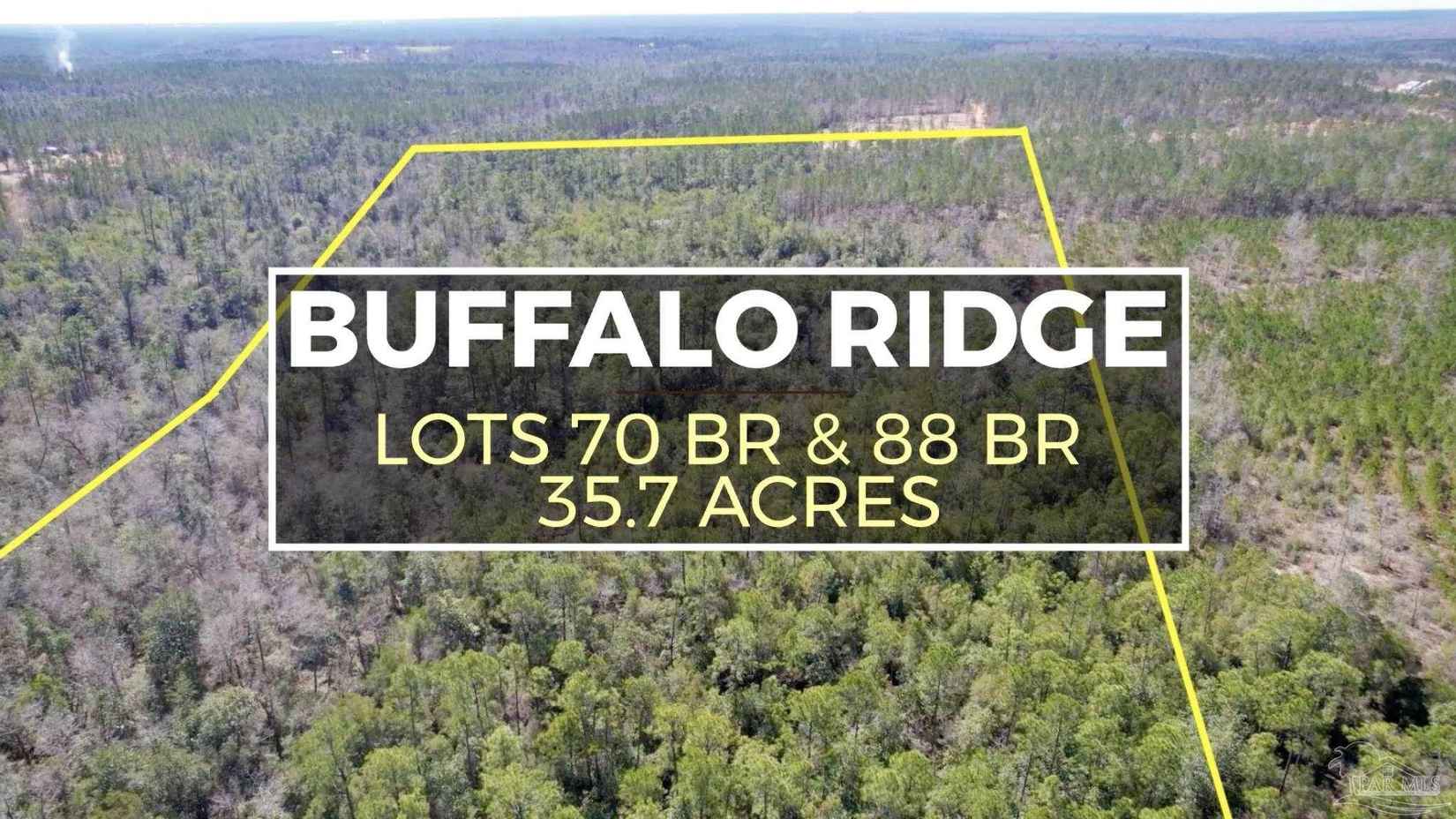 Lots 70 88 Br Buffalo Rdg Rd  
