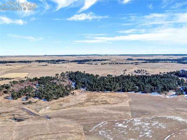 10625 Big Sky Trl  