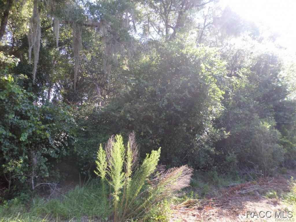 0 W HWY 40 Lots 6-10 Hwy  