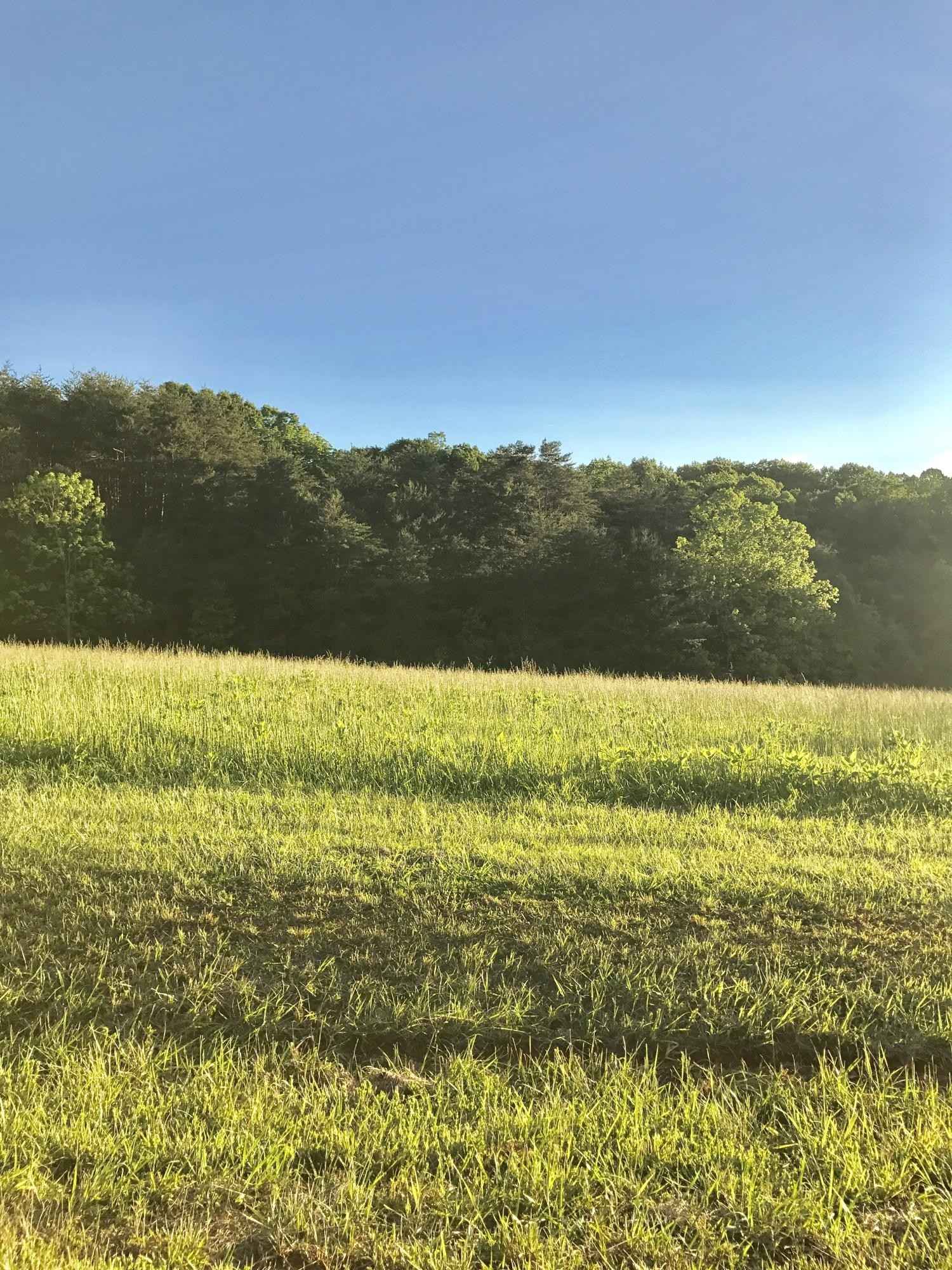 Lot 24 Windsor Castle DR  