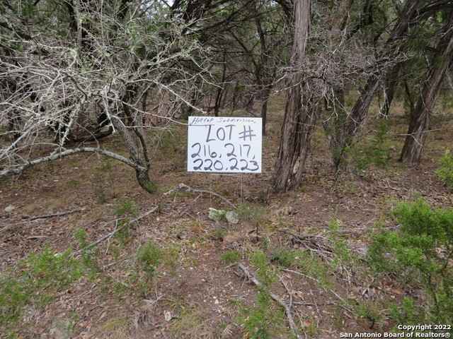 Lot 216 217 WEST SLOP Trl  