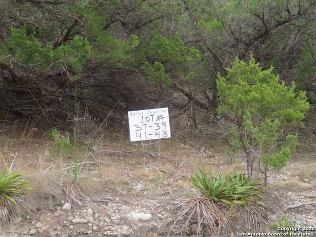 Lot 37-39 HILLTOP Loop  