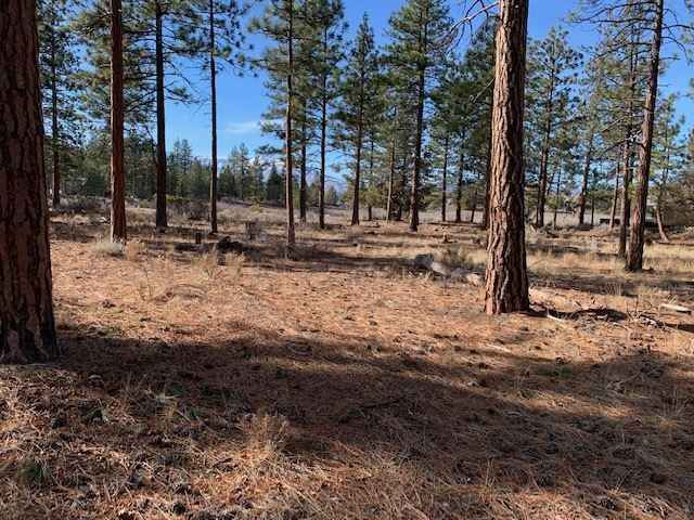 Unit 4 Lot 344 Lake Shastina Dr  