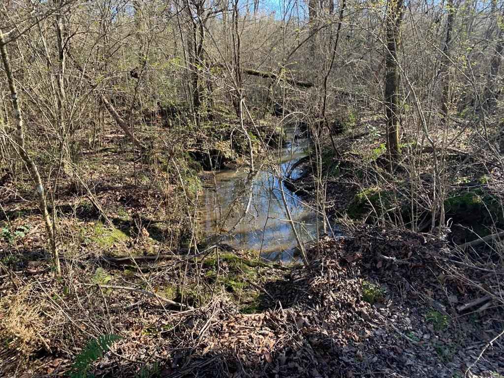 00 Peyton Ln SW  