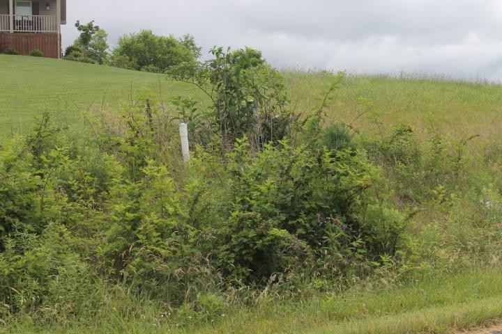 Lot36 LARIAT  