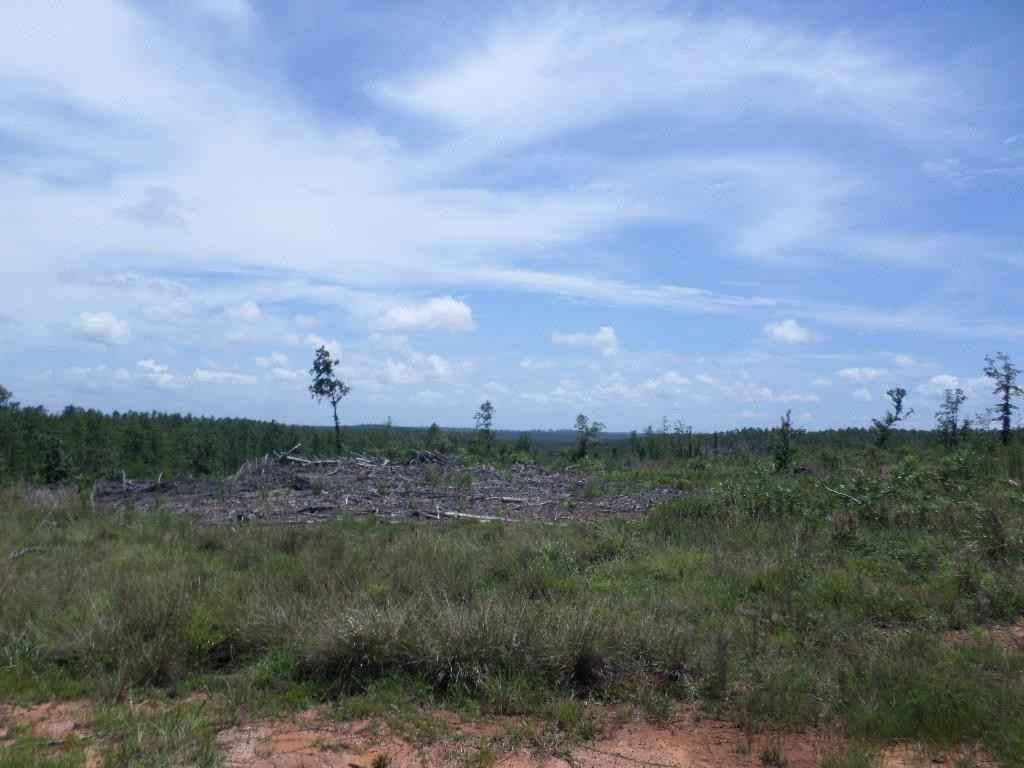 Lot 2 Booster Clb Rd  