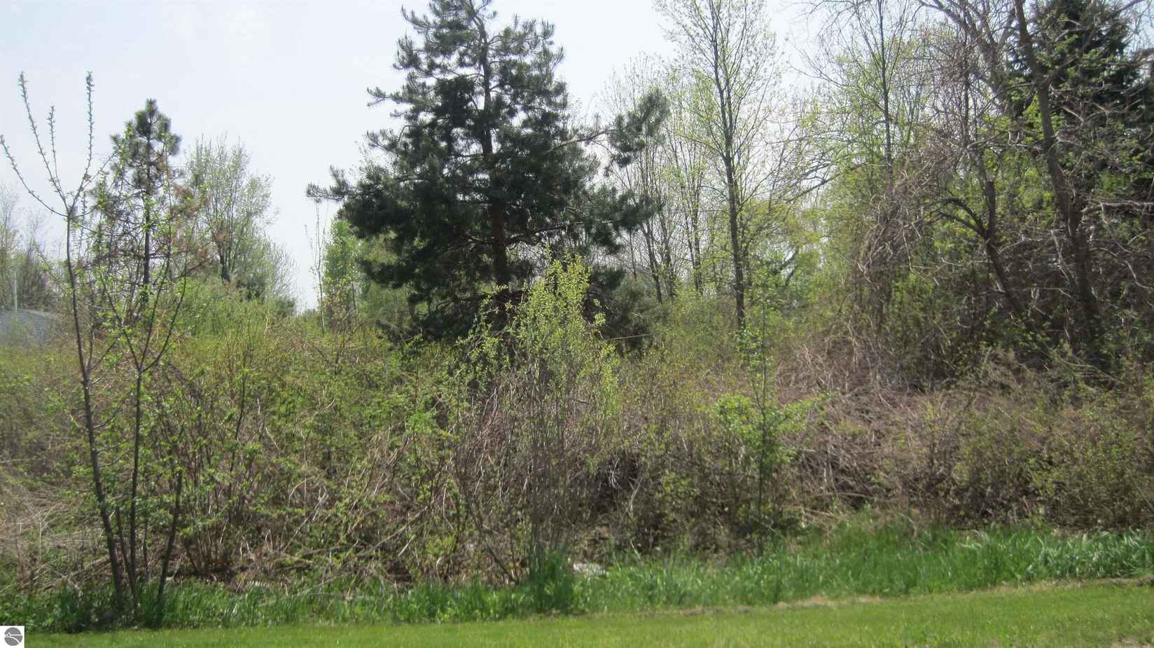 TBD Lot 49 Leona Dr  