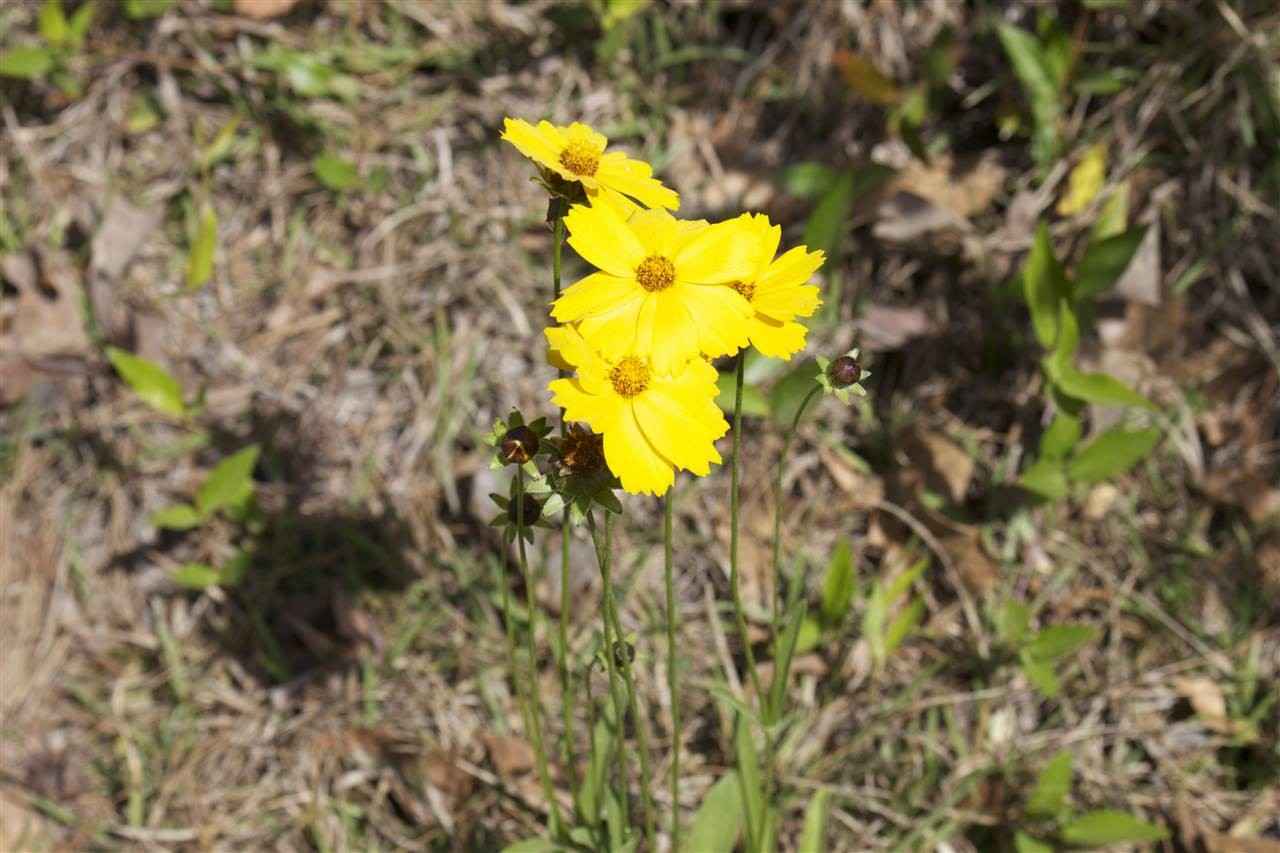 12580 Moccasin Gap Rd  