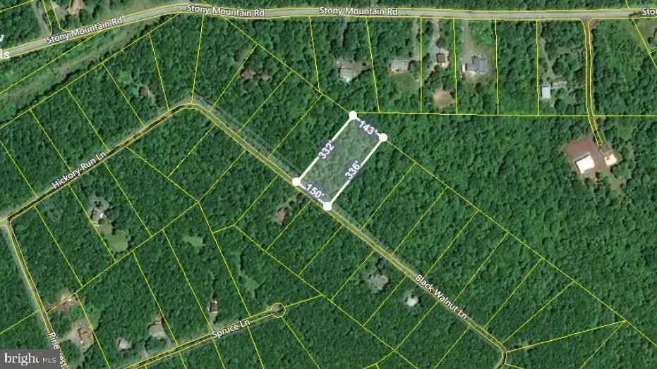 0 BLACK WALNUT Ln  