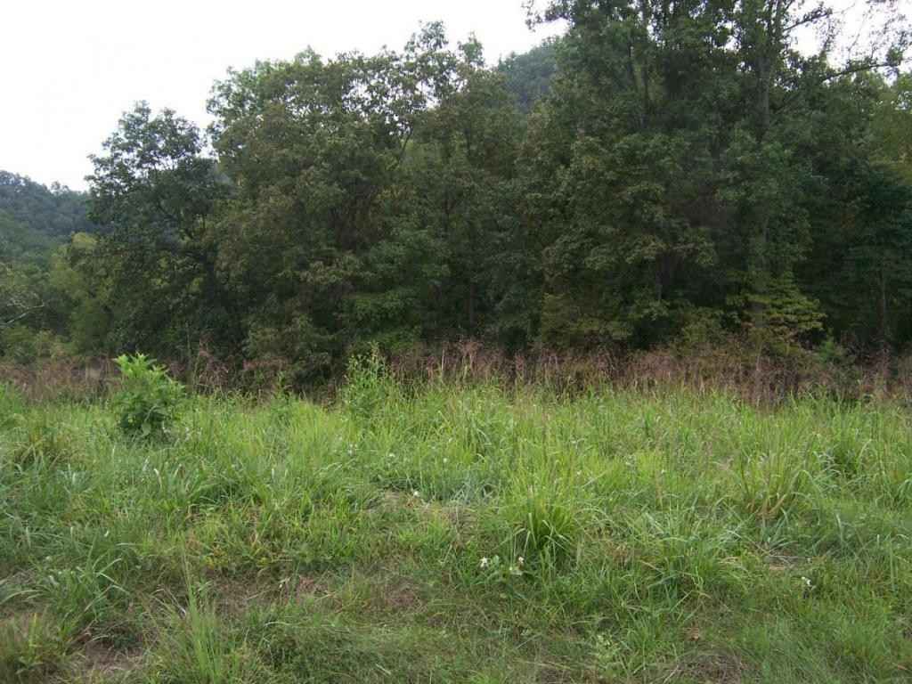 0 Lake Pointe Dr Lot 7  