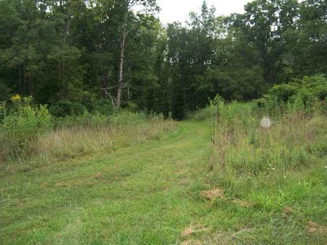 0 Lake Pointe Dr Lot 8  
