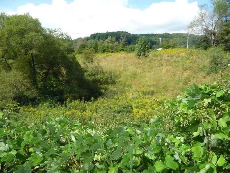 Lot 4 Daniel Boone Rd  