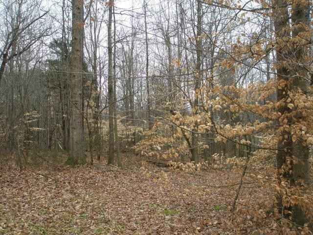 Lot 14 Stonewall Dr  