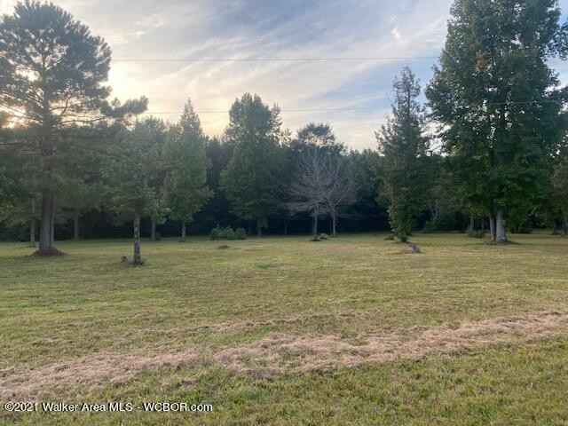 LOT 31 EAGLE POINTE Lndg  