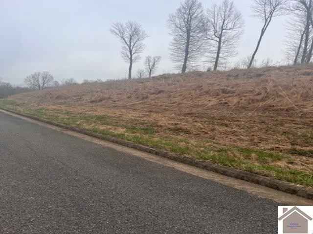 000 Coppersmith Trace- R15  