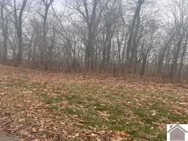 000 Kipling Cir Lot V6  