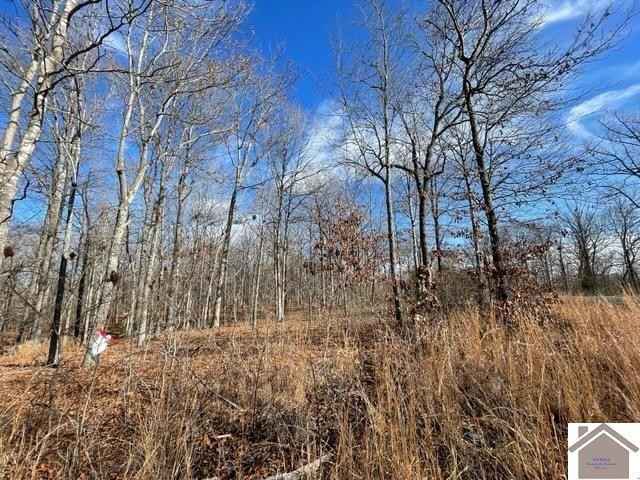 Lot 99 Deepwood Dr  