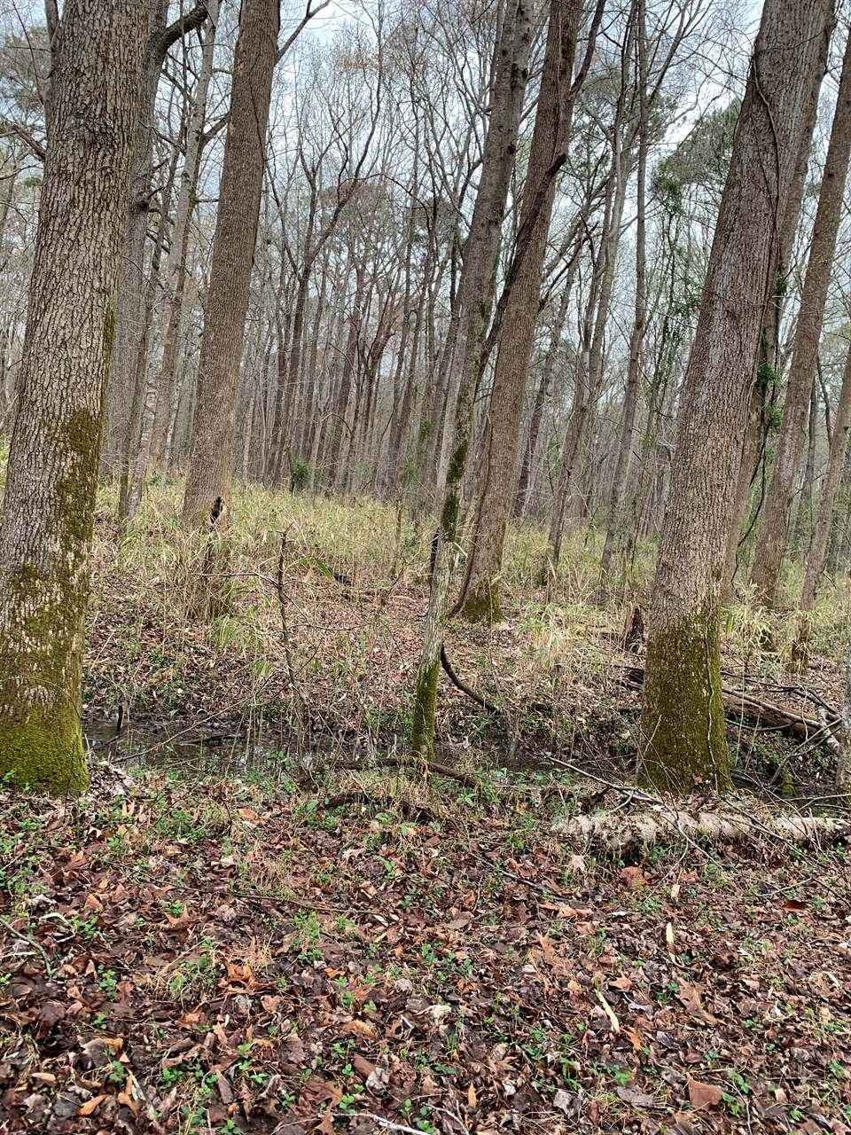 LOT 29 Trinkle St  