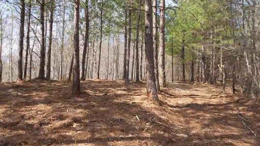 51D Scott Line Rd  