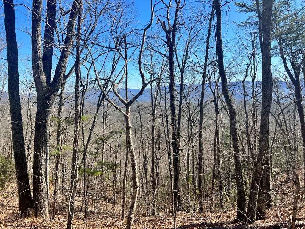 Lot 6 Red Dog Ln  