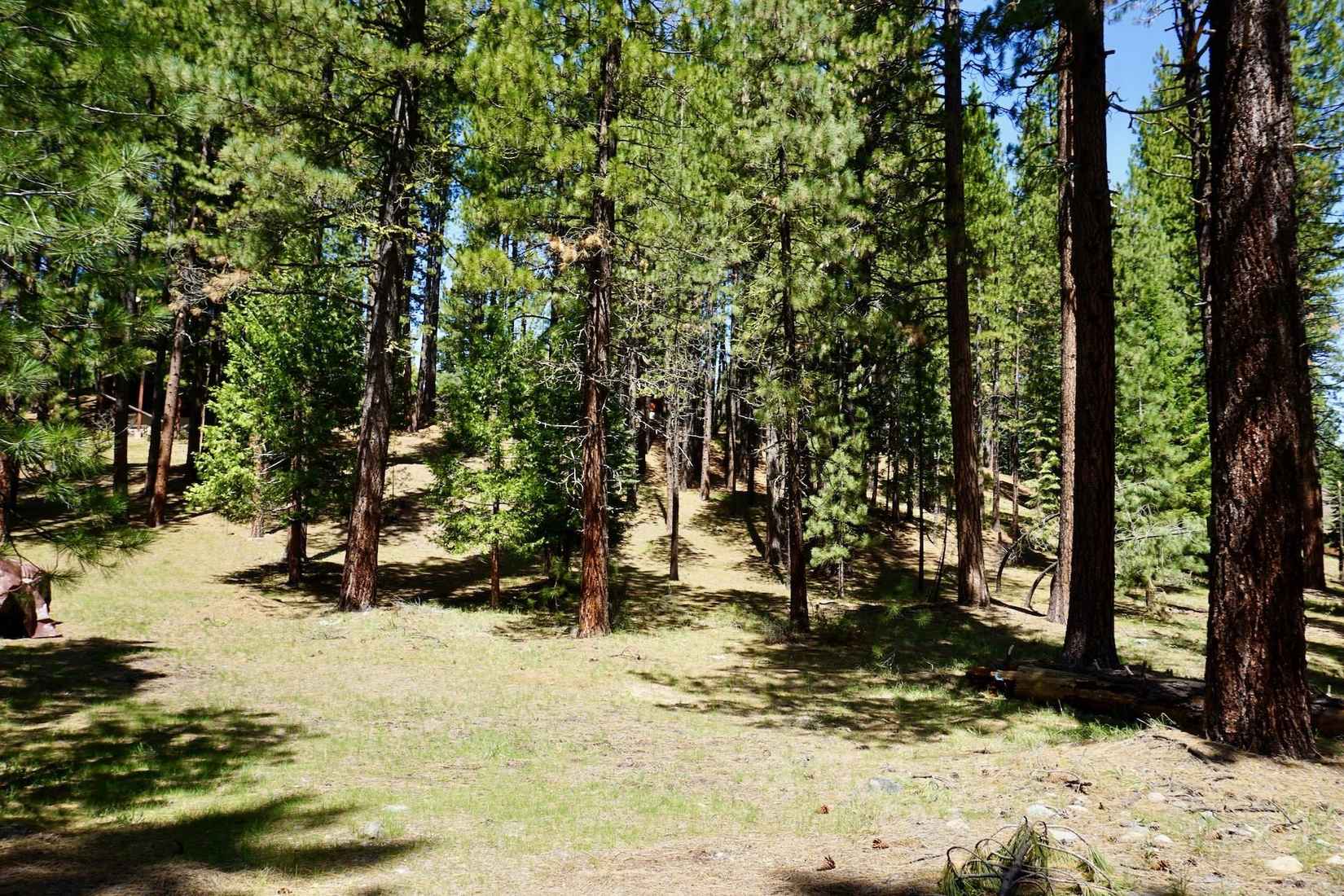 4 Paiute Trl  