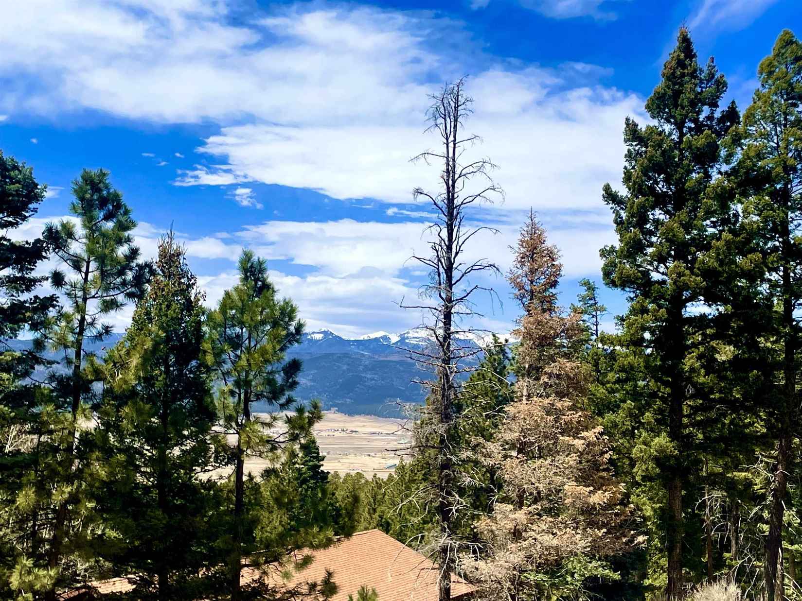 Lot 150 Back Basin Rd  