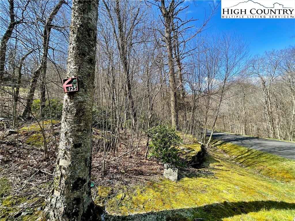125 Stone Ledge Ln  