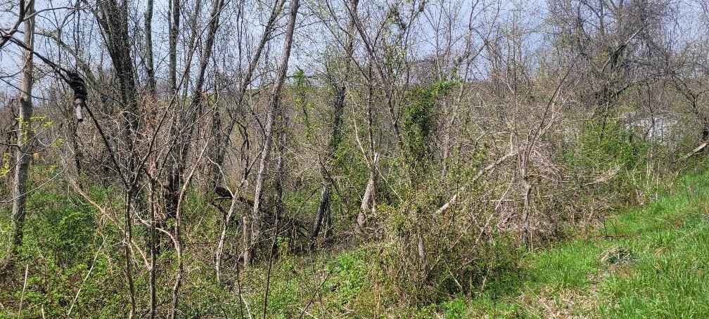 Lot 7 TBD Northview Rd  