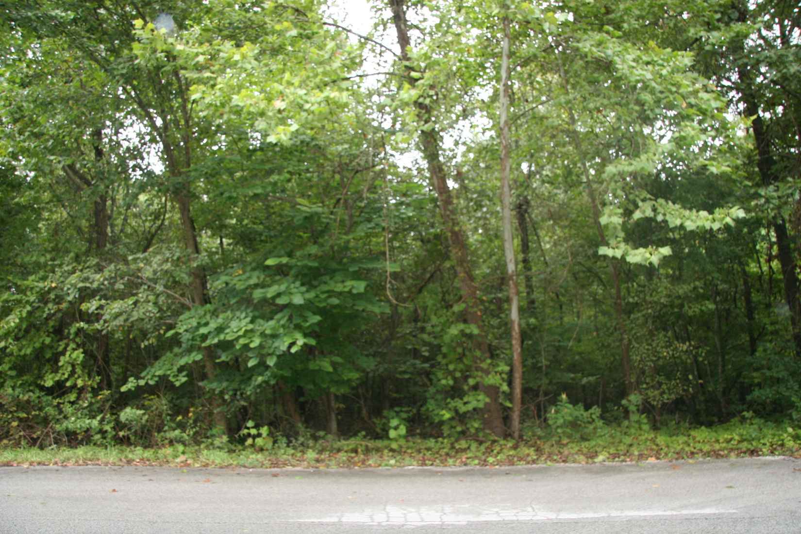 Lot 24 Lacy - Lot 24 Phase III Ln  