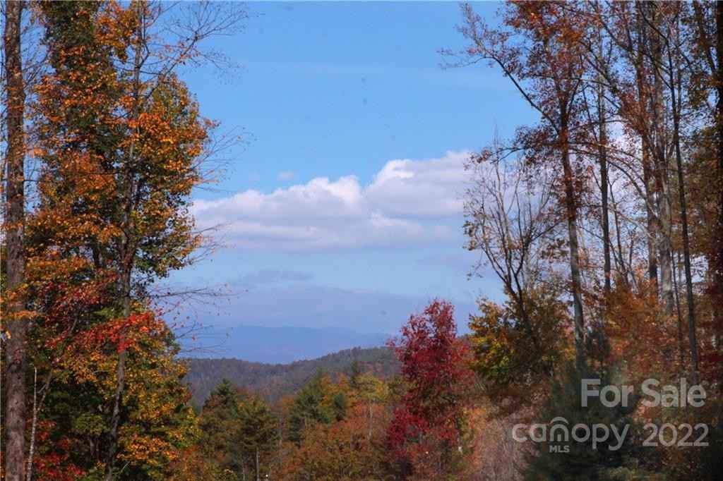 Lot 81 Peppervine Cir  