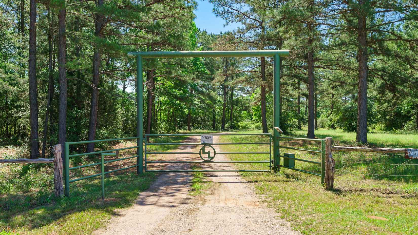 12615 Browder Trayloor  