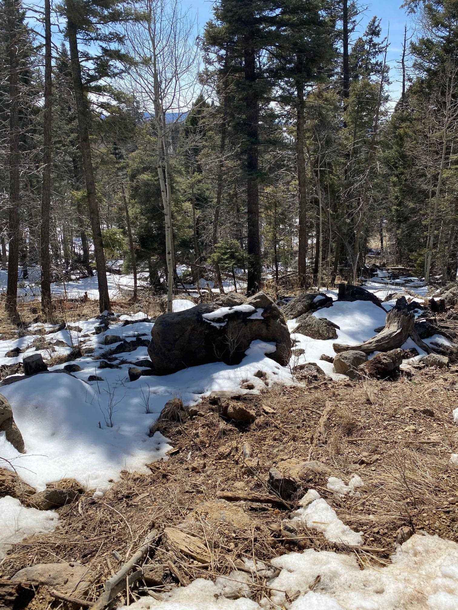 Lot 679 El Camino Real  