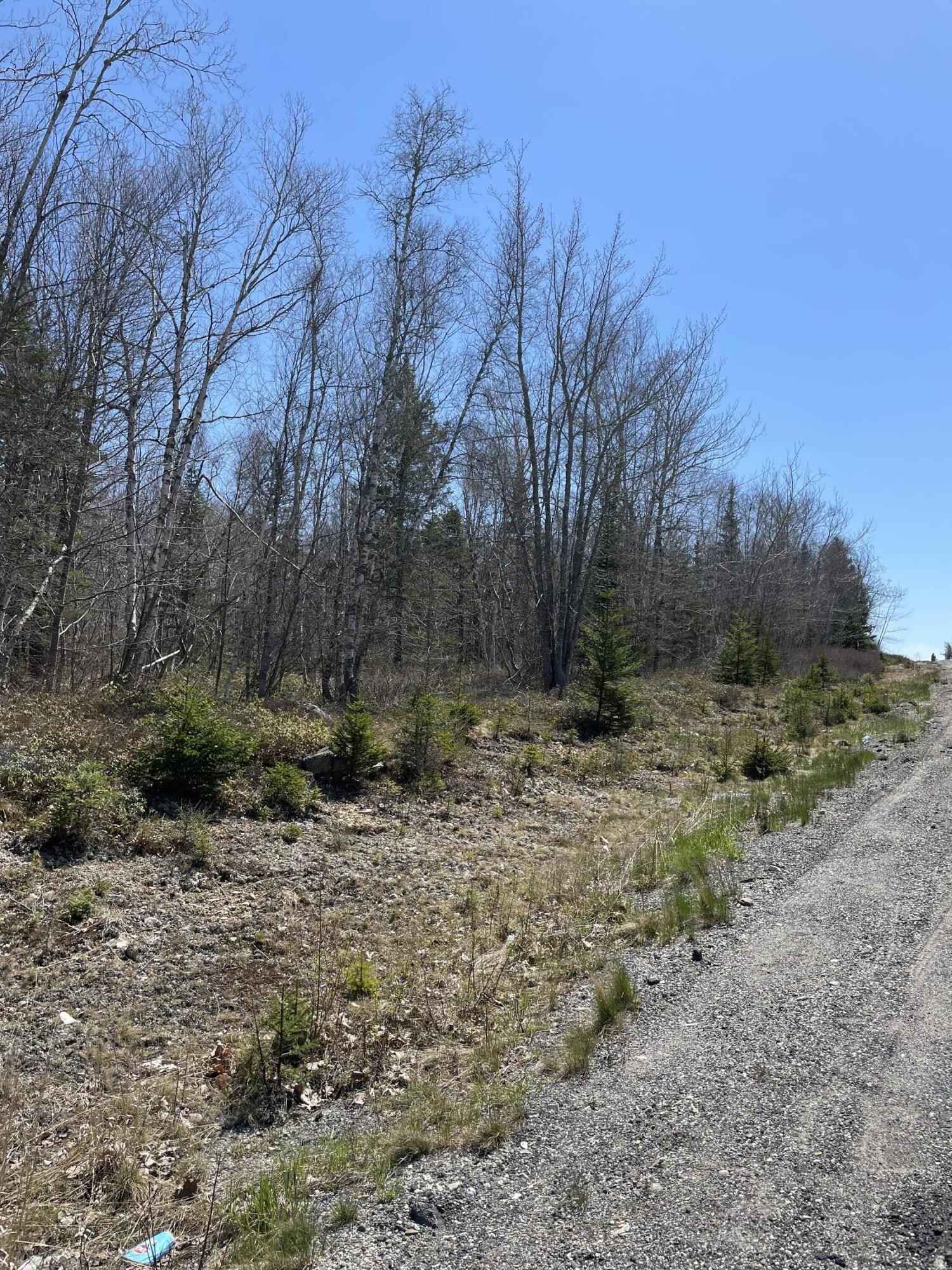 Lot 146 US Rt 1-A  