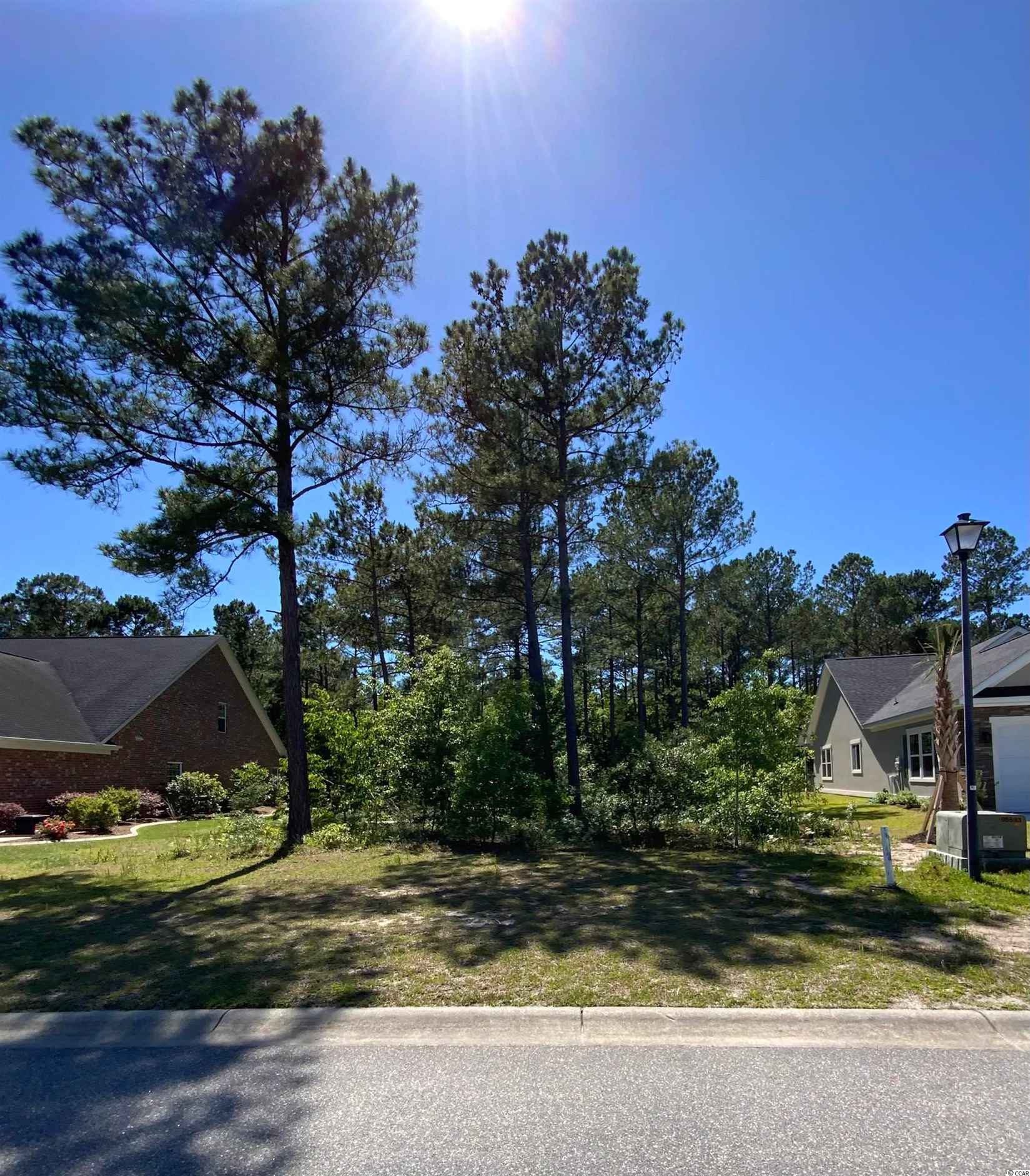 916 Henry James Dr  