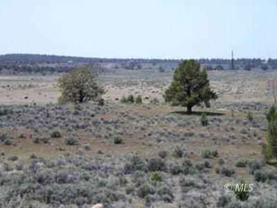 lot 10 Hafer Hills Rd Ln  
