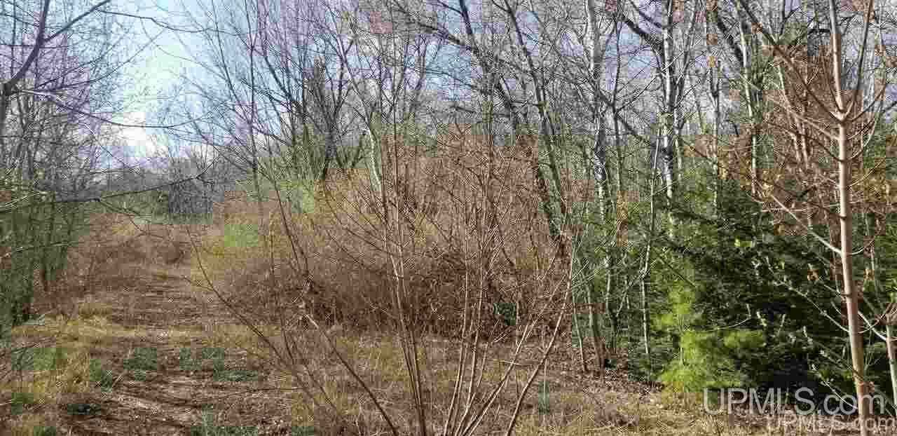 TBD4 Tamarack  