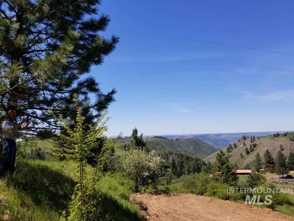 Lot 25 Shenandoah Dr  
