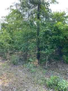 082b212 ANN'S WAY Way  