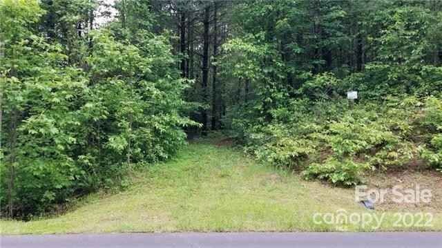 4 6 Acres On Narrow Gauge Dr  