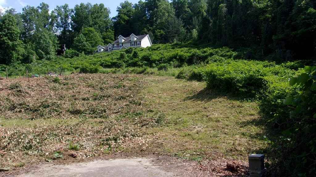 627 Turkey Knob  
