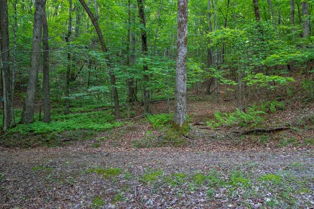 00 Laurel Mtn Rd  