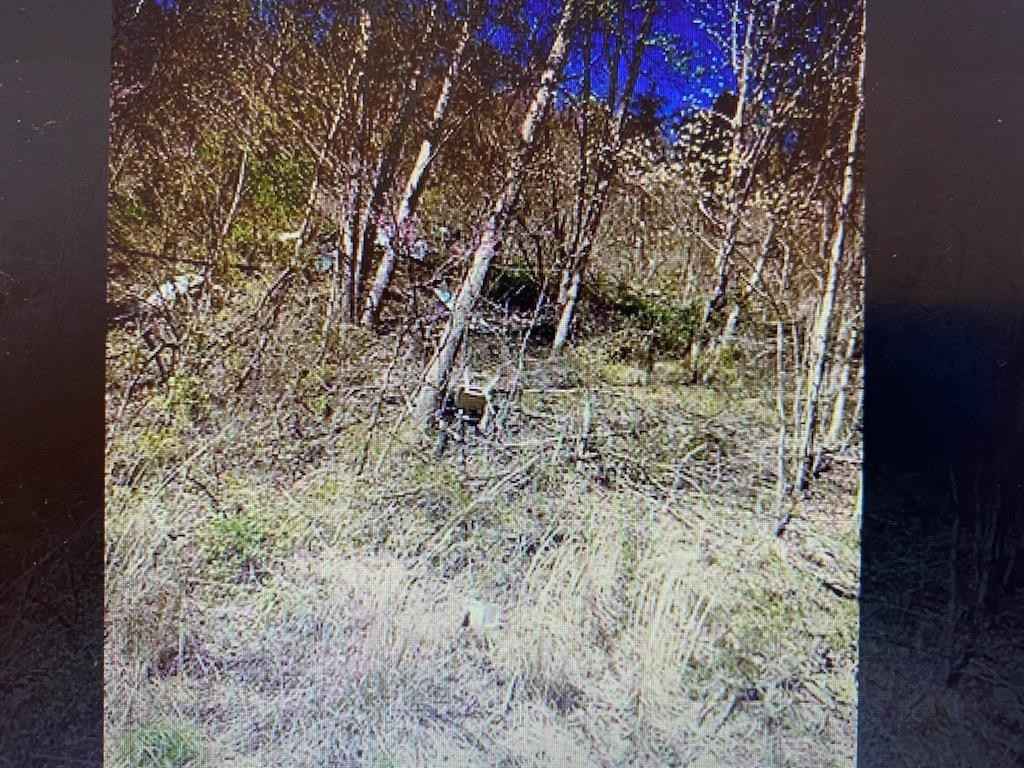 0 Toler Creek (DB 666 DP 314)  