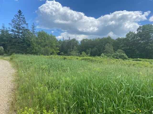 Bill Luders (Map 15 Lot 49)  