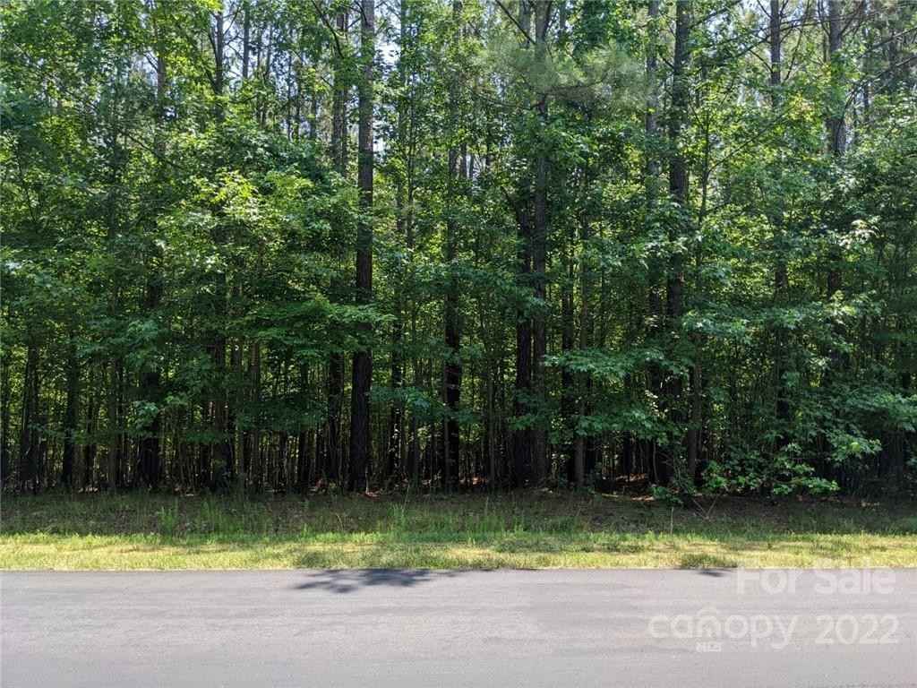 223 Plantation Way  