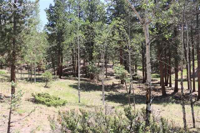 291 Thunder Rdg Dr  