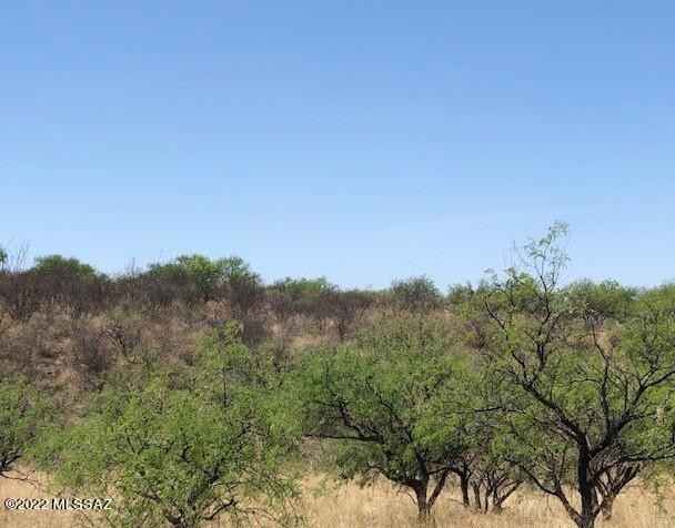 1220 Via San Francisco  